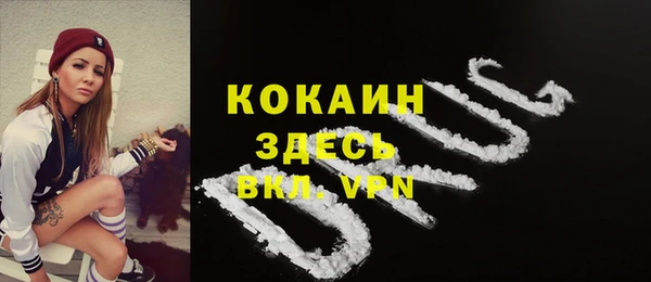 крисы Белоозёрский