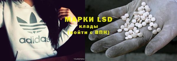 apvp Белокуриха