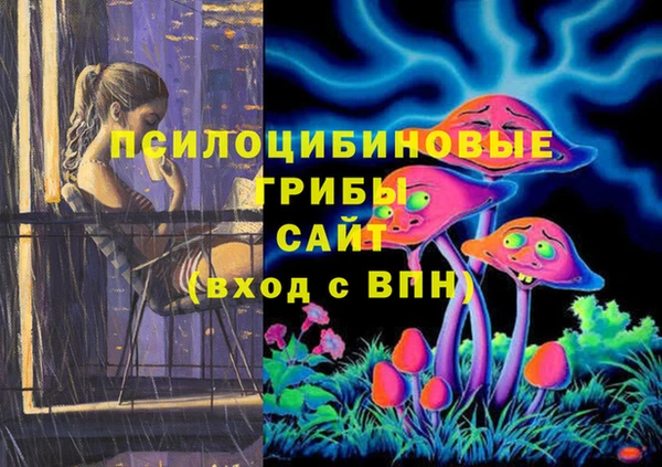 крисы Белоозёрский