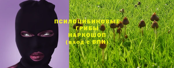 крисы Белоозёрский