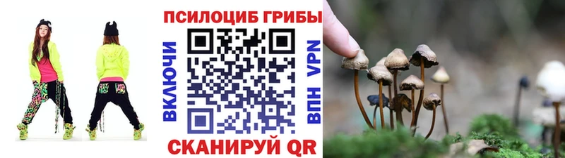 Купить где  Коряжма  Псилоцибиновые грибы мухоморы 